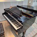 제플린실용음악학원 이미지