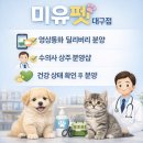 영덕07 | 영덕시츄분양 알아볼수록 고민만 늘어난다면 이 글에서 끝내셔도 됩니다