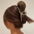 베이지 앤 브라운 이미지