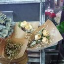 상록꽃화원 이미지