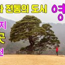 아름다운 영월여행지 추천 6곳/선돌/솔고개소나무/청령포/한반도지형/고씨굴/상동마을 이미지