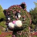 화암로 | 대구 수목원 국화축제 단풍 일정 입장료