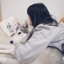 만화보시개
