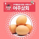 고리울상회