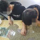 사회적협동조합자연도