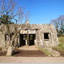 왕성목장 이미지