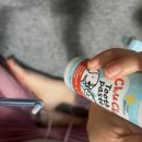 마이펫톡톡 이미지