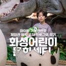 한국맥시멈체력센터 | 화성어린이문화센터 아이랑 가볼만한곳 체험관 예약 주차 프로그램 후기