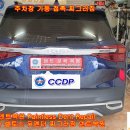 우박덴트Repair 이미지