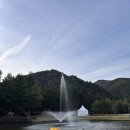 [평창] 강원도 켄싱턴호텔 아기랑👧🏻 / 프렌치가든 산책, 키즈월드, 조식🥯 + 실버벨교회