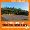 오산 벌목업체 나무 전정작업 및 가지치기 후기