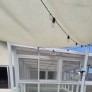 밀키스테이 이미지