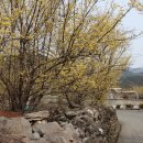 달전시목지 이미지