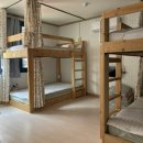 준이네민박 | 울릉도 준이네민박 guest house 4인실 후기(내돈내산)