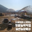 솔안농장 이미지