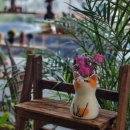 라이크울공방