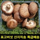 고씨네 농장 이미지