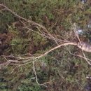 이성우한의원 이미지