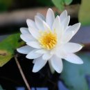 <추석특별프로그램> 이미지