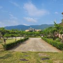 예미지신세계공인중개사사무소 이미지