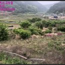 구산면557 이미지