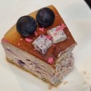 물무로2길 | [전라남도 영광 카페 남도땅] 치즈케이크가 맛있는 남도땅 카페 내 돈 내산 후기