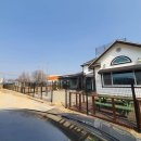 망토 두른 강아지 이미지