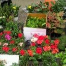 남창시장 이미지