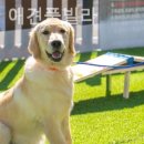 베일리펜션 이미지