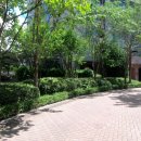 렉슬약국 이미지