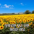 삿포로 근교 당일치기 여행 BEST4 렌터카 없이 즐기기