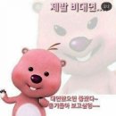 쌀국수공방 네이버블로그