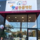 청북햇살 동물병원 이미지