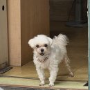 영세탁소 이미지