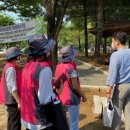 대머리근린공원 이미지