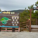 미르전설