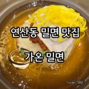 고메밀면(연산동) | 연산동 온천천 맛집:: 가온밀면 후기 추천과 비추천 사이