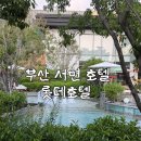 커피헤이븐 | 부산 서면 호텔 추천 롯데호텔 부산아쿠아 헤이븐 수영장 내돈내산 후기