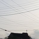 황금뜰카페