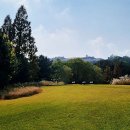 ICHEON54 네이버블로그
