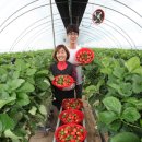 제주해나루 이미지