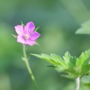 시골나들이 이미지