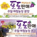 해달빛