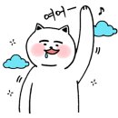 호랑이약품 이미지