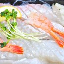 인생막회&초밥 네이버블로그