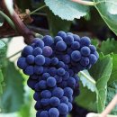 에스퍼스널트레이닝 이미지