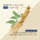 광명인삼