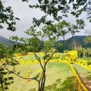 바람의핫도그 본점