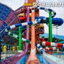 경주 캘리포니아비치 어트랙션 경주월드 워터파크 수영장 후기