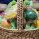 상수크리원 이미지